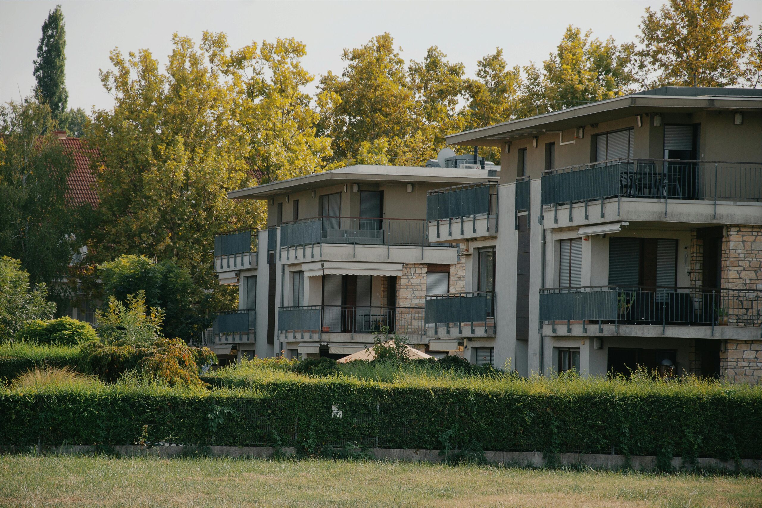 obra-nueva-o-vivienda-de-segunda-mano